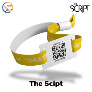 The-Script